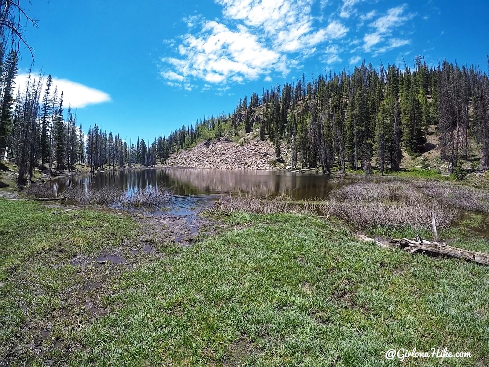 Backpacking the Yellow Pine Trail, Uintas