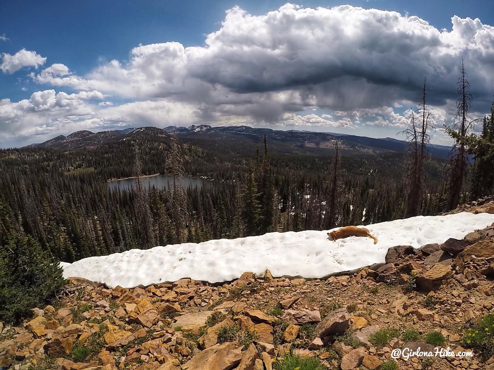 Backpacking the Yellow Pine Trail, Uintas