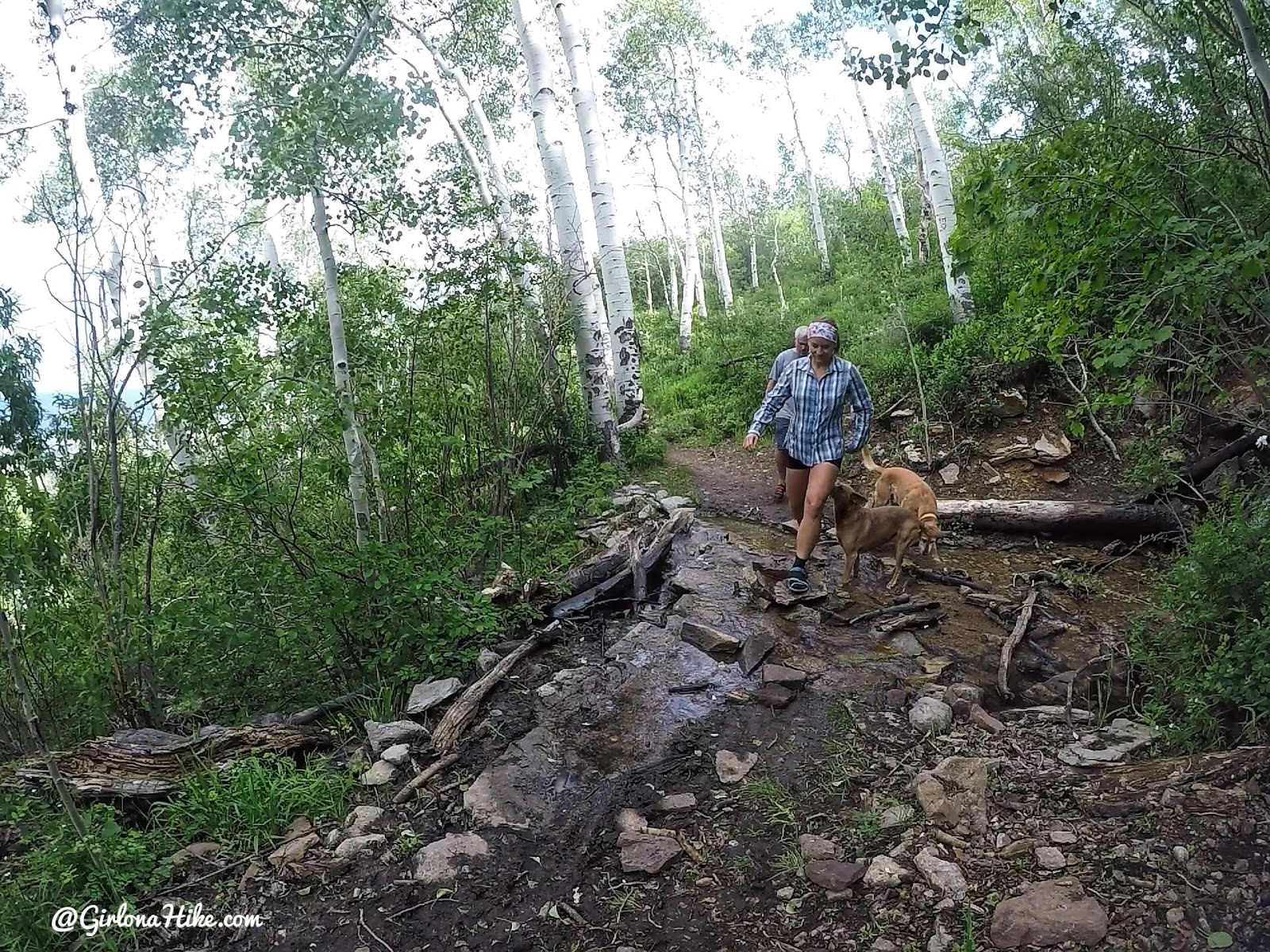 Hiking to Brumley Arch, LaSal Mountains, Hiking in Moab with Dogs