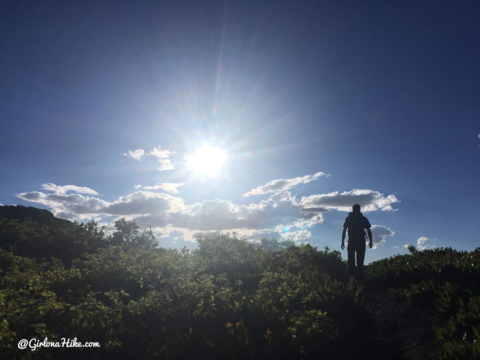 Hiking to Mt. Aire, Hiking in Utah with Dogs