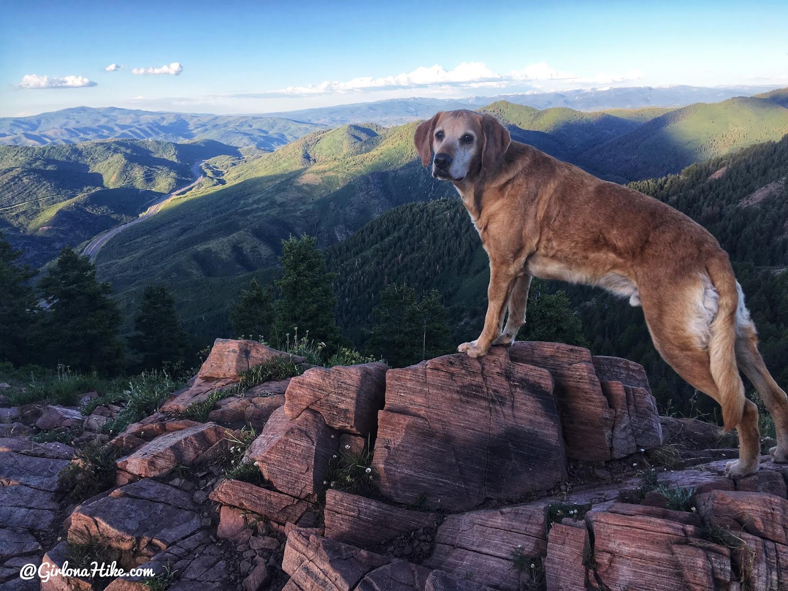 Hiking to Mt. Aire, Hiking in Utah with Dogs