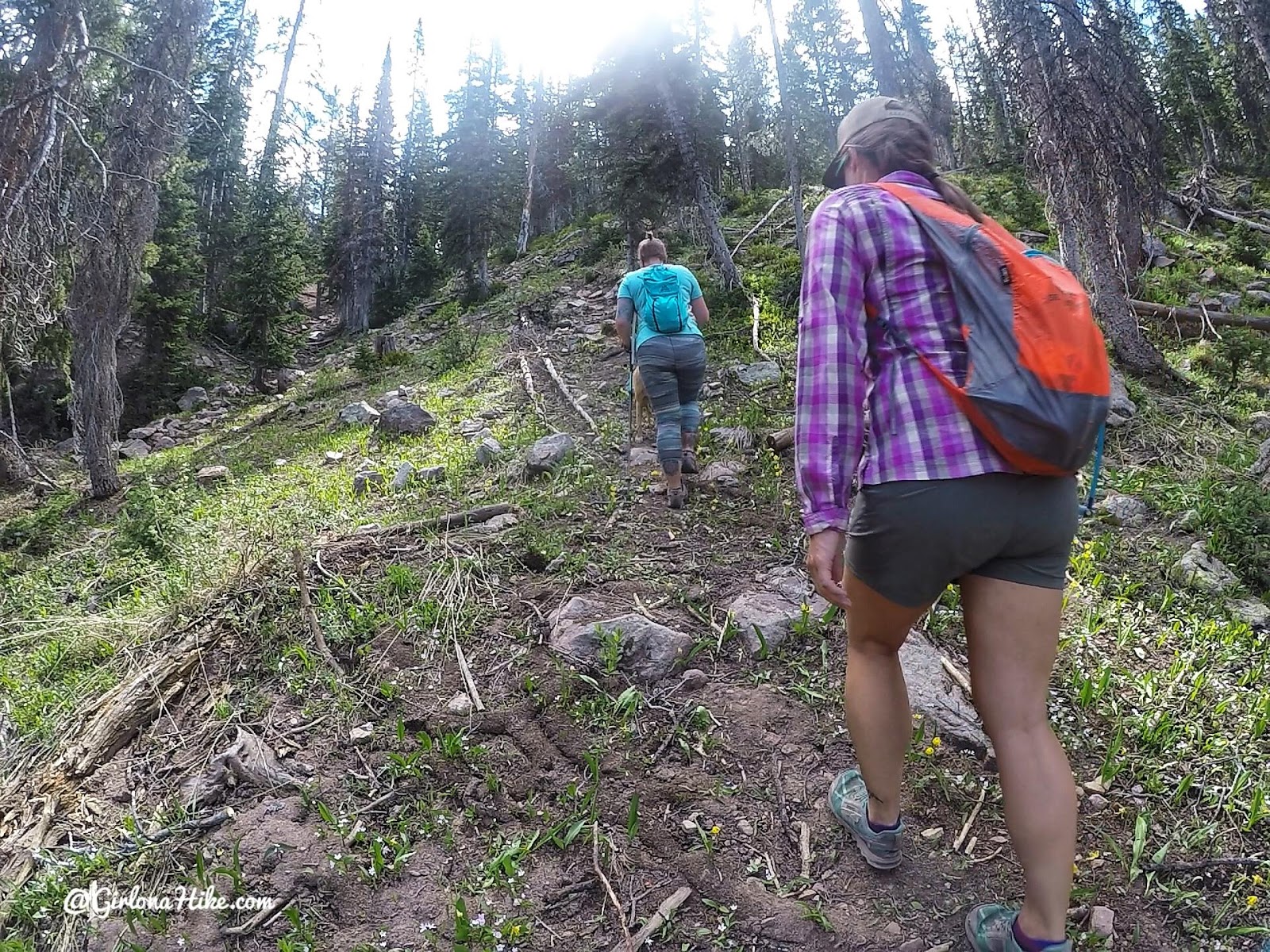 Backpacking the Yellow Pine Trail, Uintas