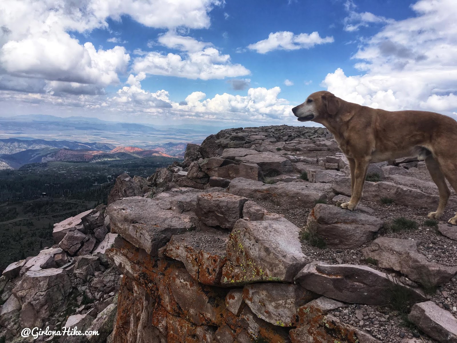 Brian Head Peak, Iron County High Point