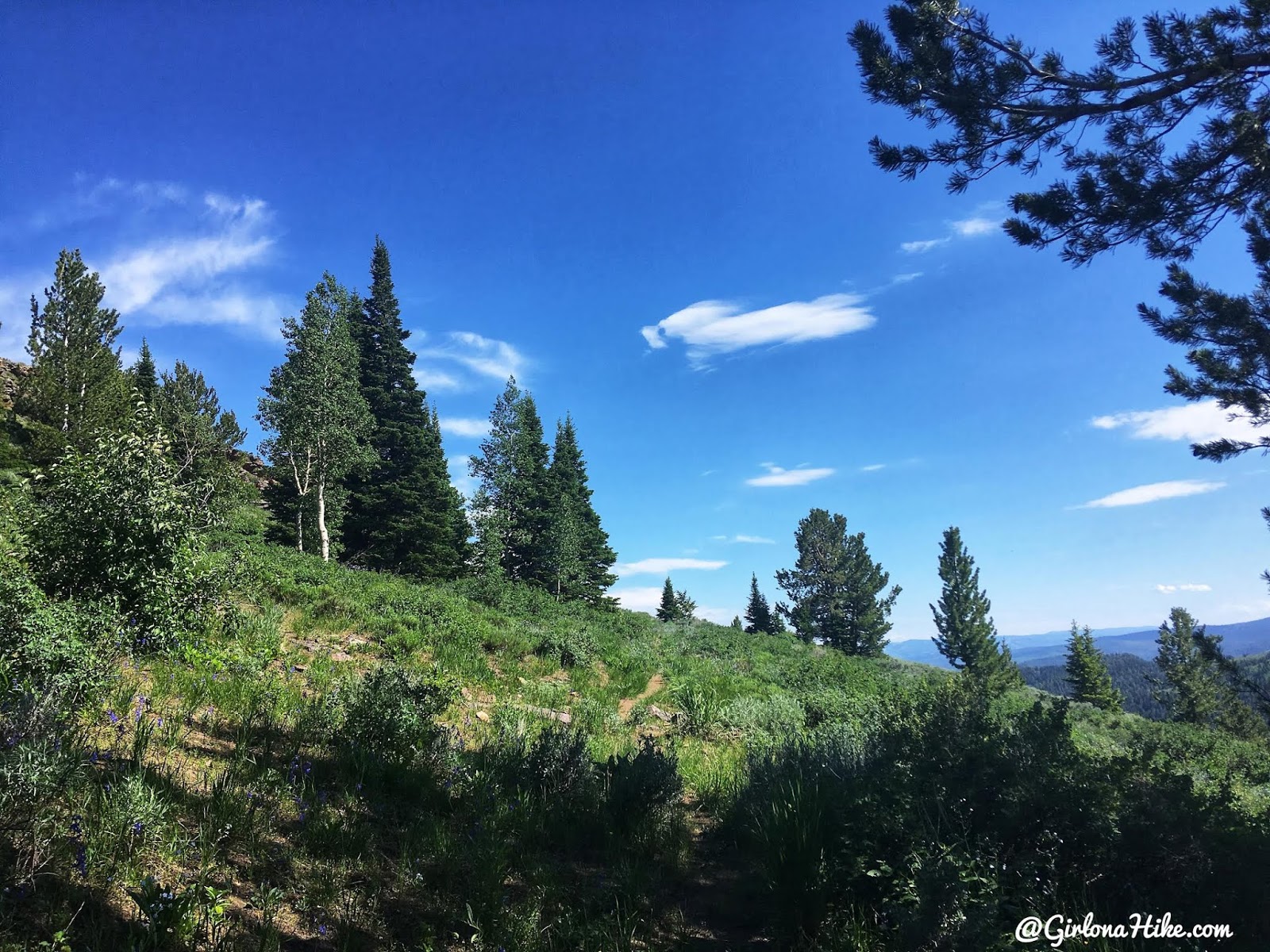 Hiking to Bridger Peak, Rich County High Point