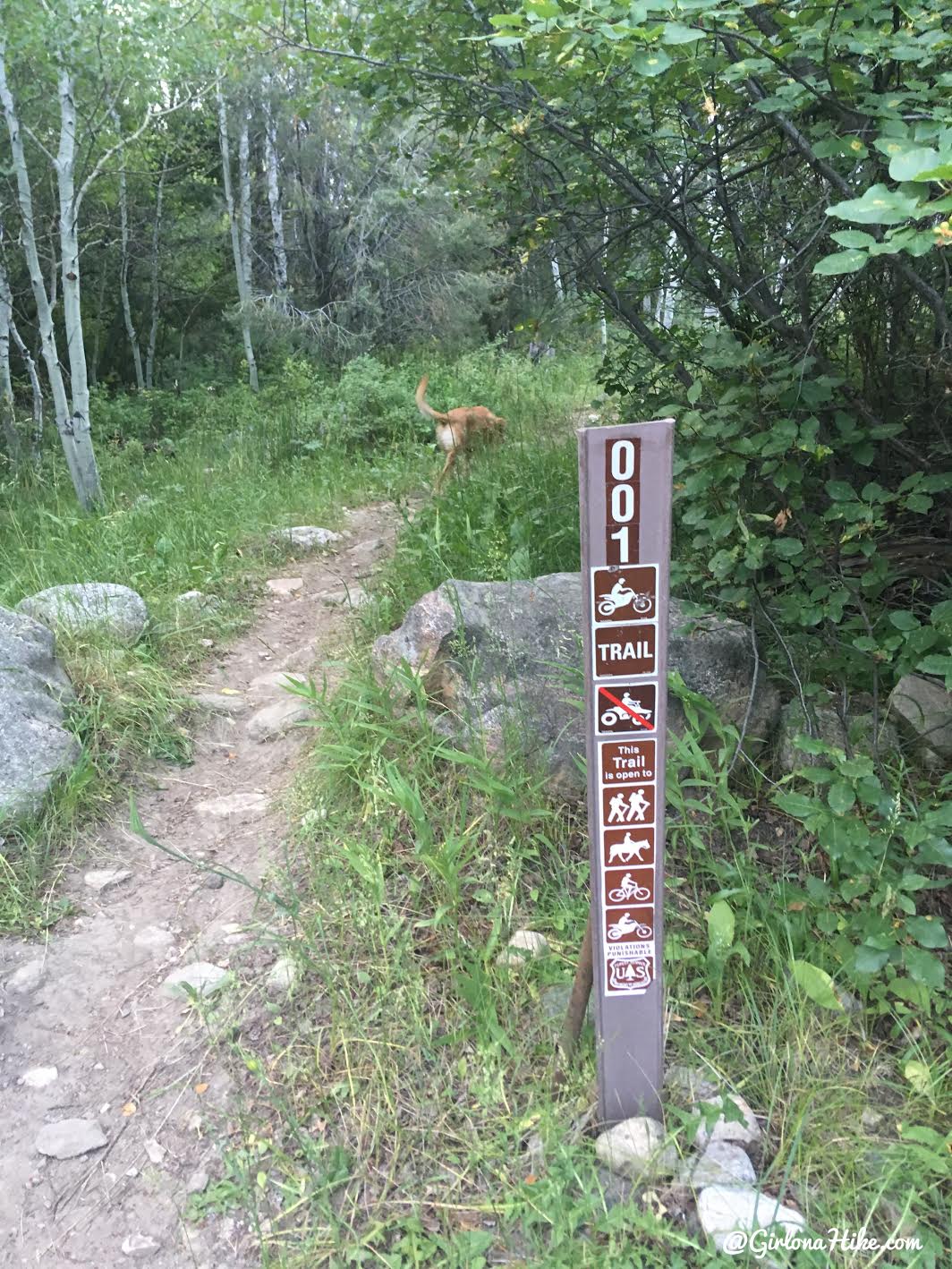 Hiking to Bull Mountain, Box Elder County High Point