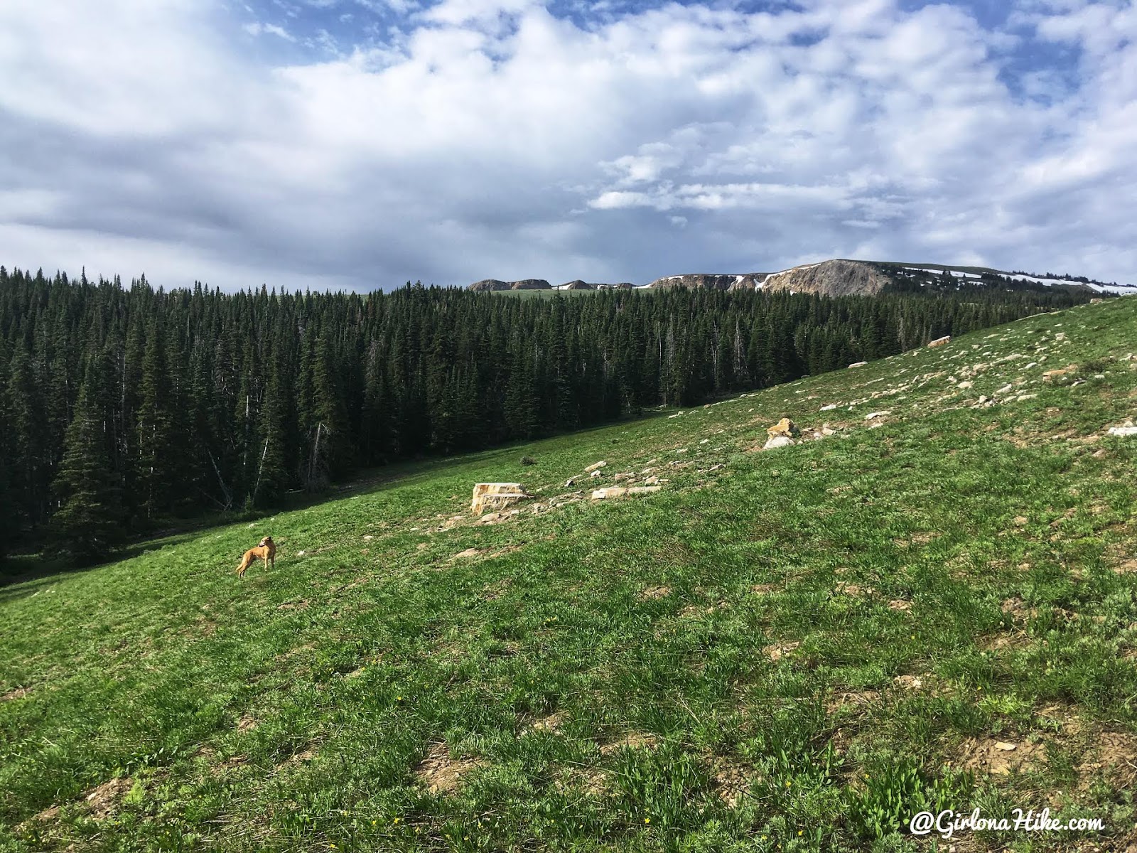 Hiking to Bull Mountain, Box Elder County High Point