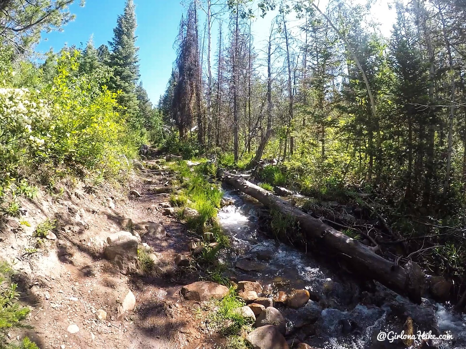 Backpacking the Yellow Pine Trail, Uintas