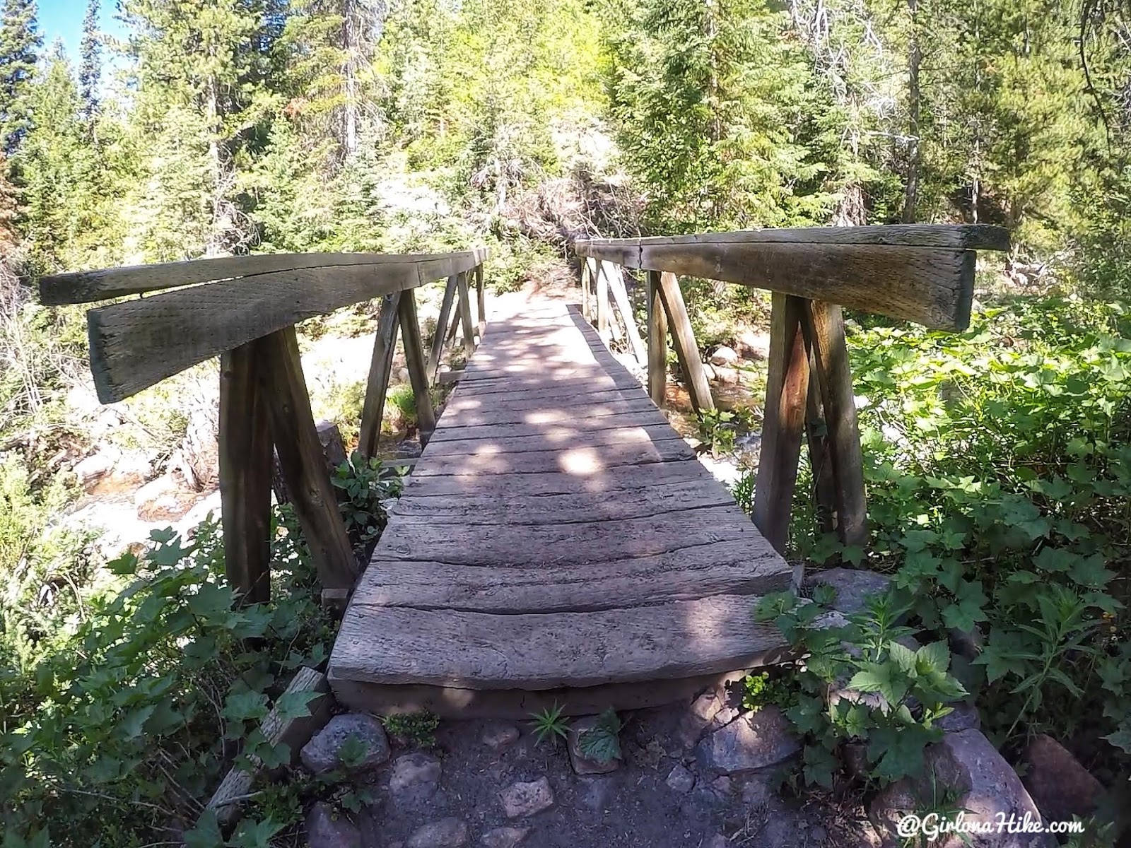 Backpacking the Yellow Pine Trail, Uintas