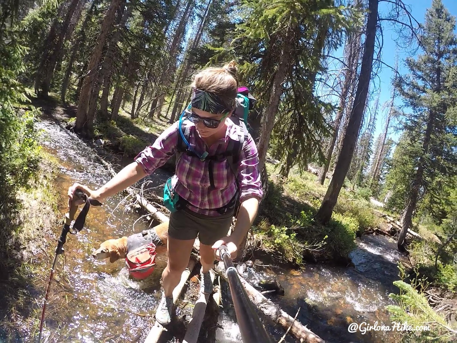 Backpacking the Yellow Pine Trail, Uintas