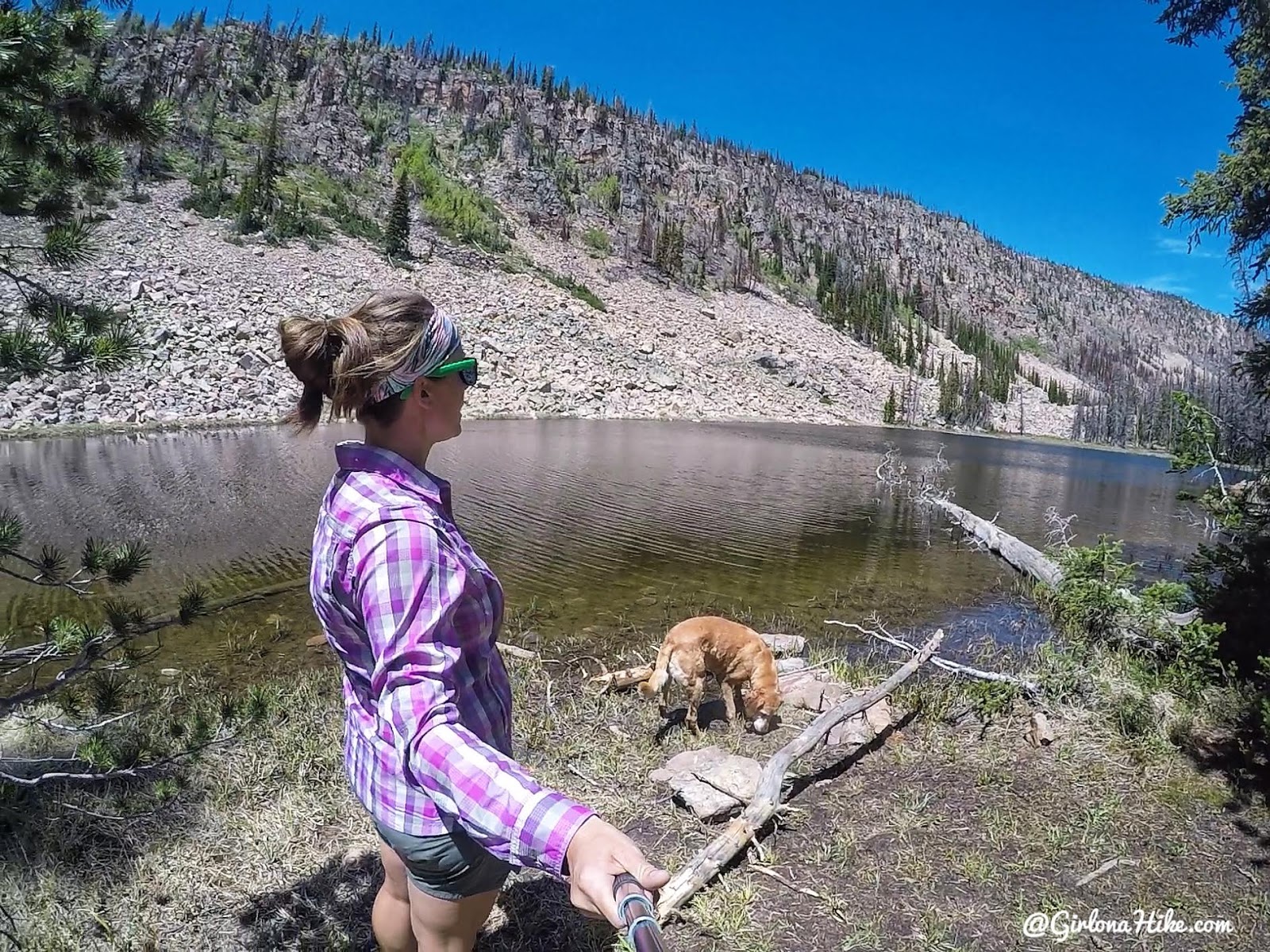 Backpacking the Yellow Pine Trail, Uintas