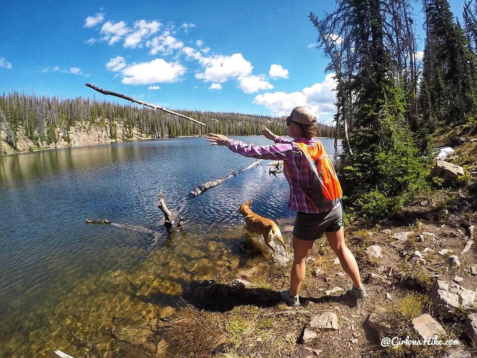 Backpacking the Yellow Pine Trail, Uintas