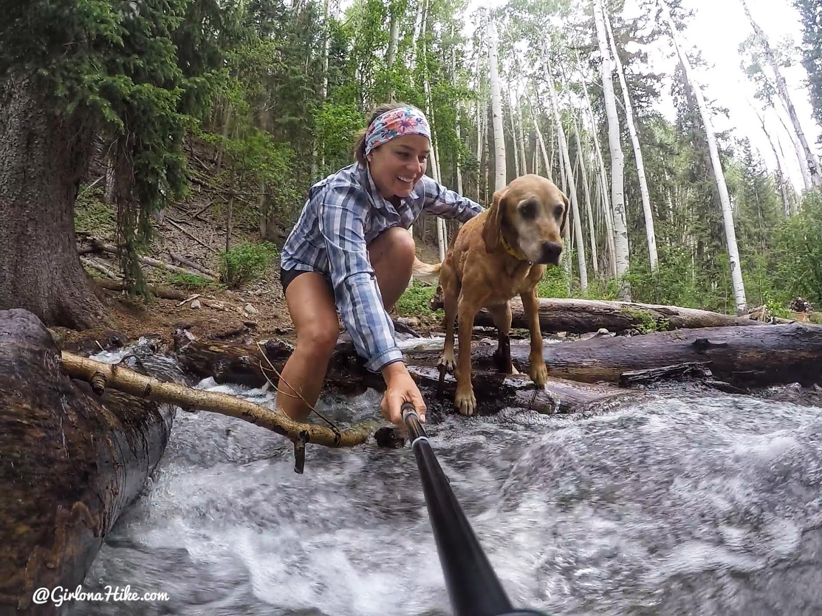 Hiking to Brumley Arch, LaSal Mountains, Hiking in Moab with Dogs