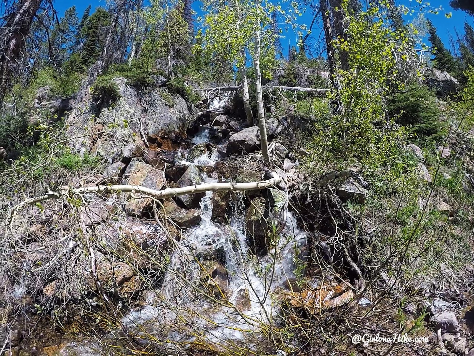 Backpacking the Yellow Pine Trail, Uintas