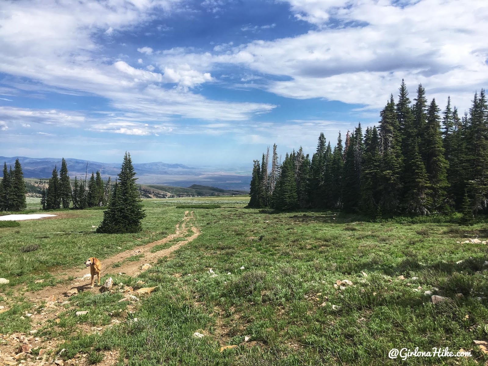 Hiking to Bull Mountain, Box Elder County High Point