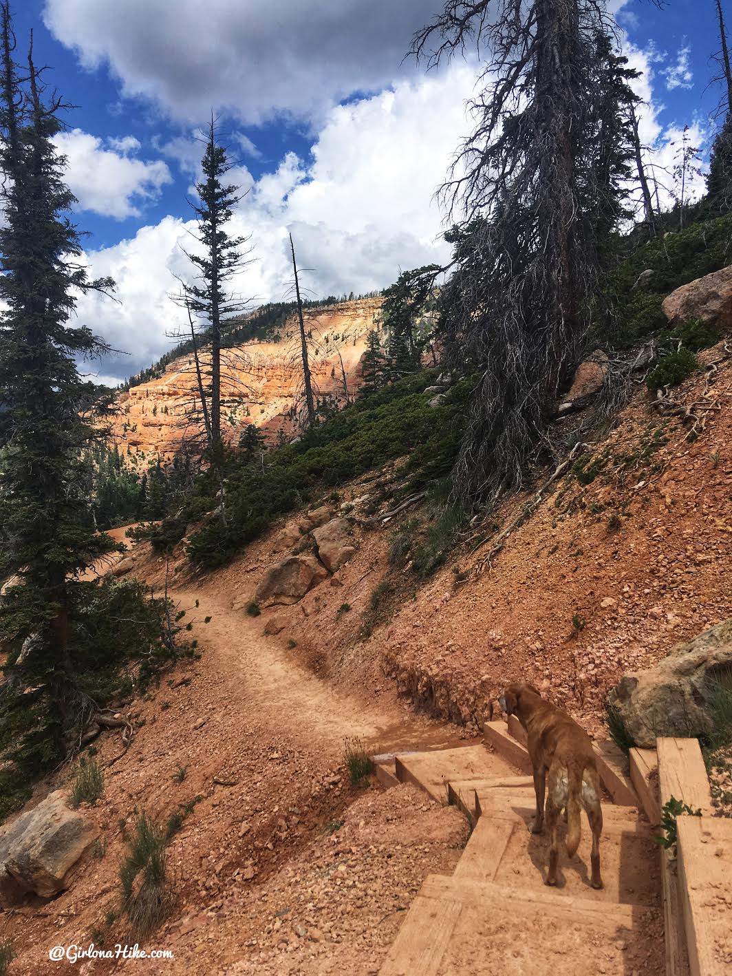 Hike to Cascade Falls, Navajo Lake Utah