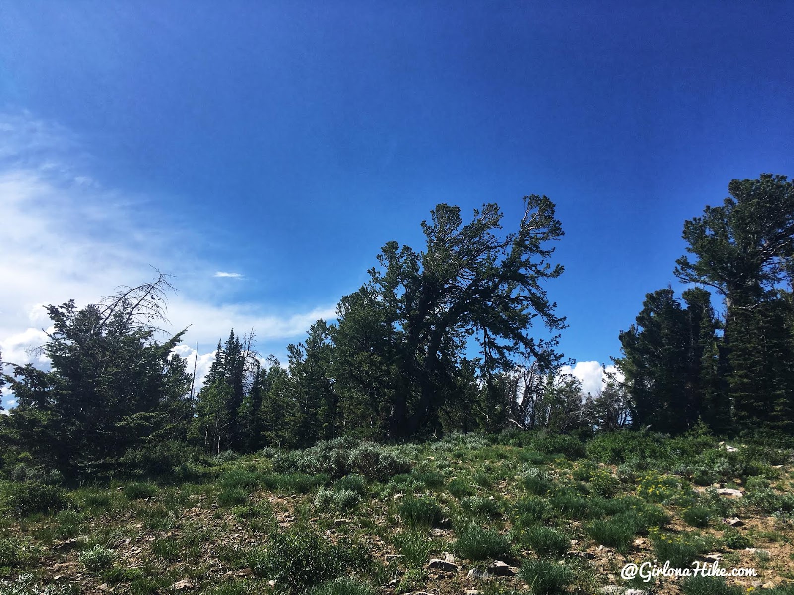 Hiking to Bridger Peak, Rich County High Point