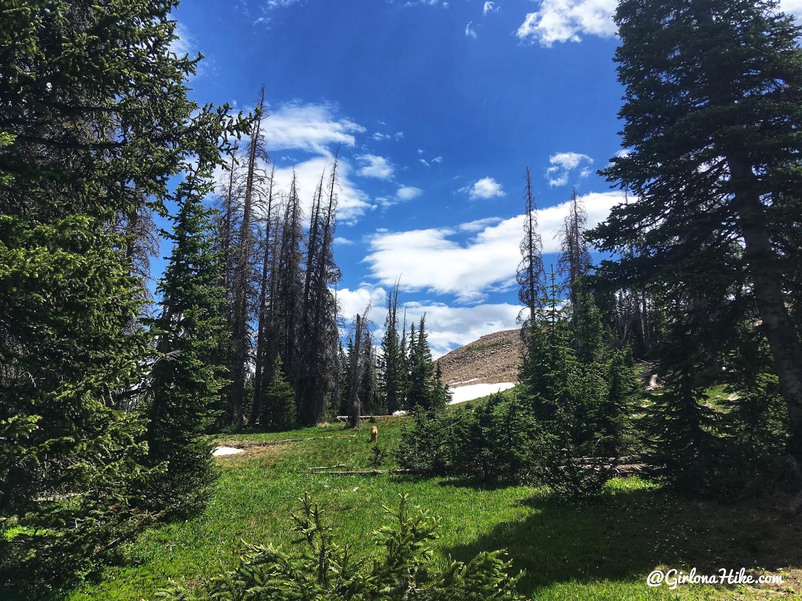 Hiking to Murdock Mountain, Uintas, Day hiking in the Uintas, Uinta peak bagging