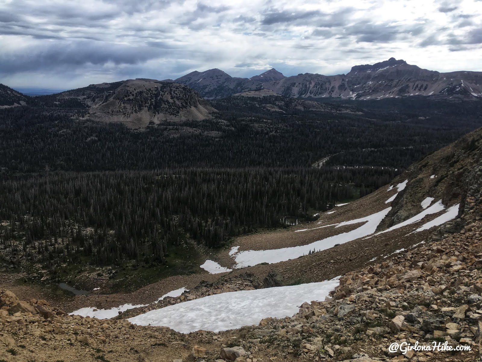 Hiking to Reids Peak, Uintas, Uinta peaks, hiking in the uintas, hiking in utah with dogs