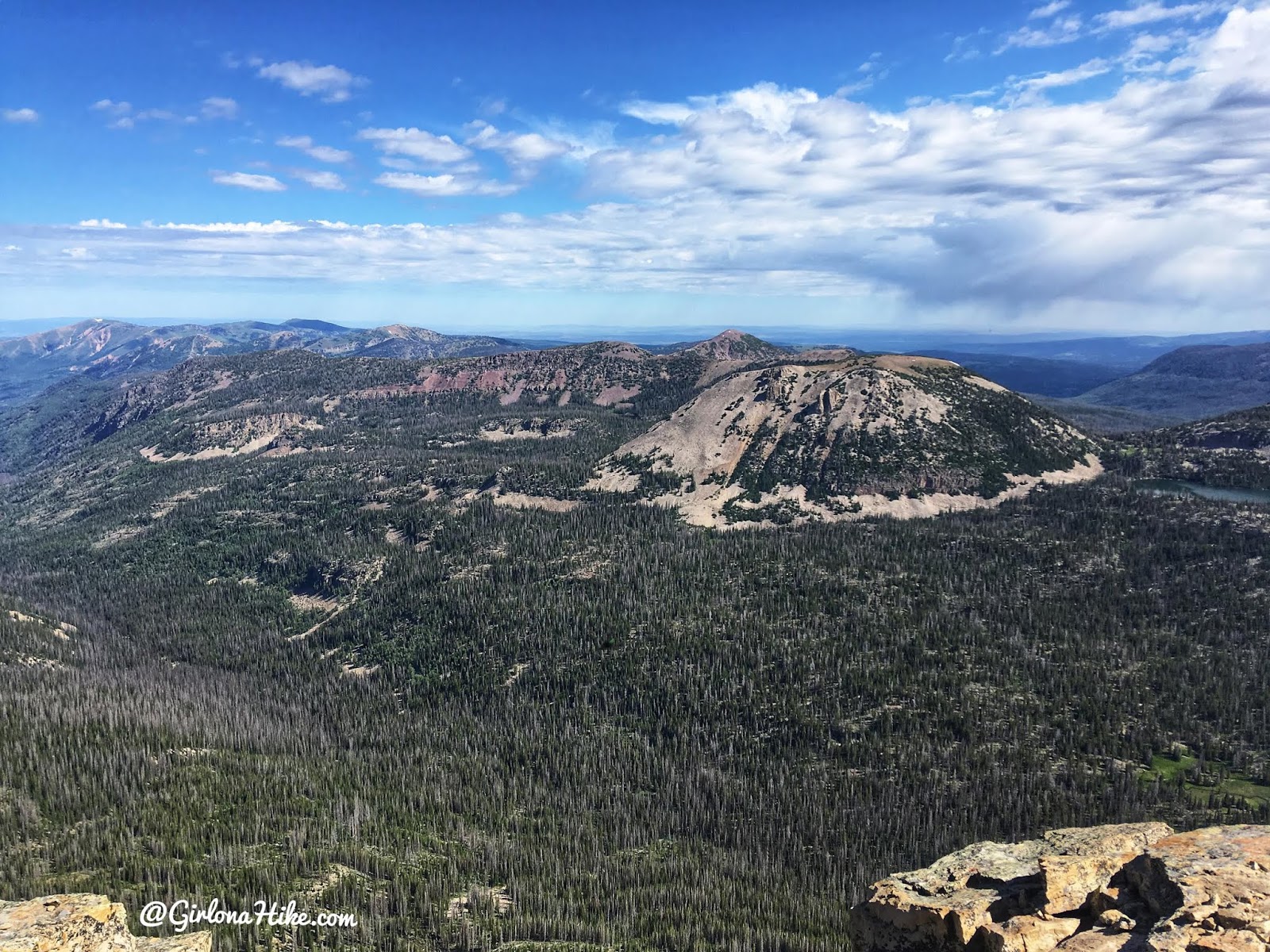 Hiking to Reids Peak, Uintas, Uinta peaks, hiking in the uintas, hiking in utah with dogs