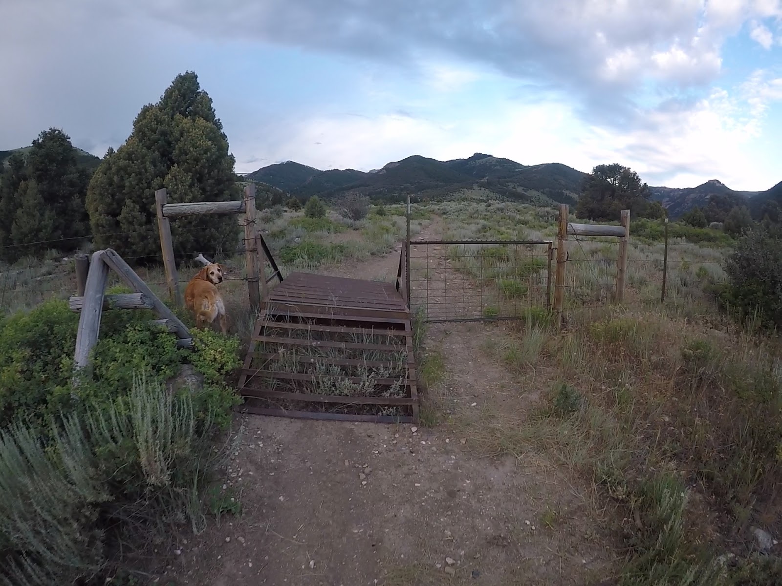 Hiking to Bull Mountain via Bull Flat, Box Elder County High Point