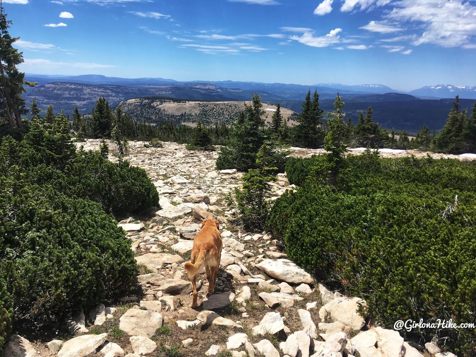 Hiking to Murdock Mountain, Uintas, Day hiking in the Uintas, Uinta peak bagging