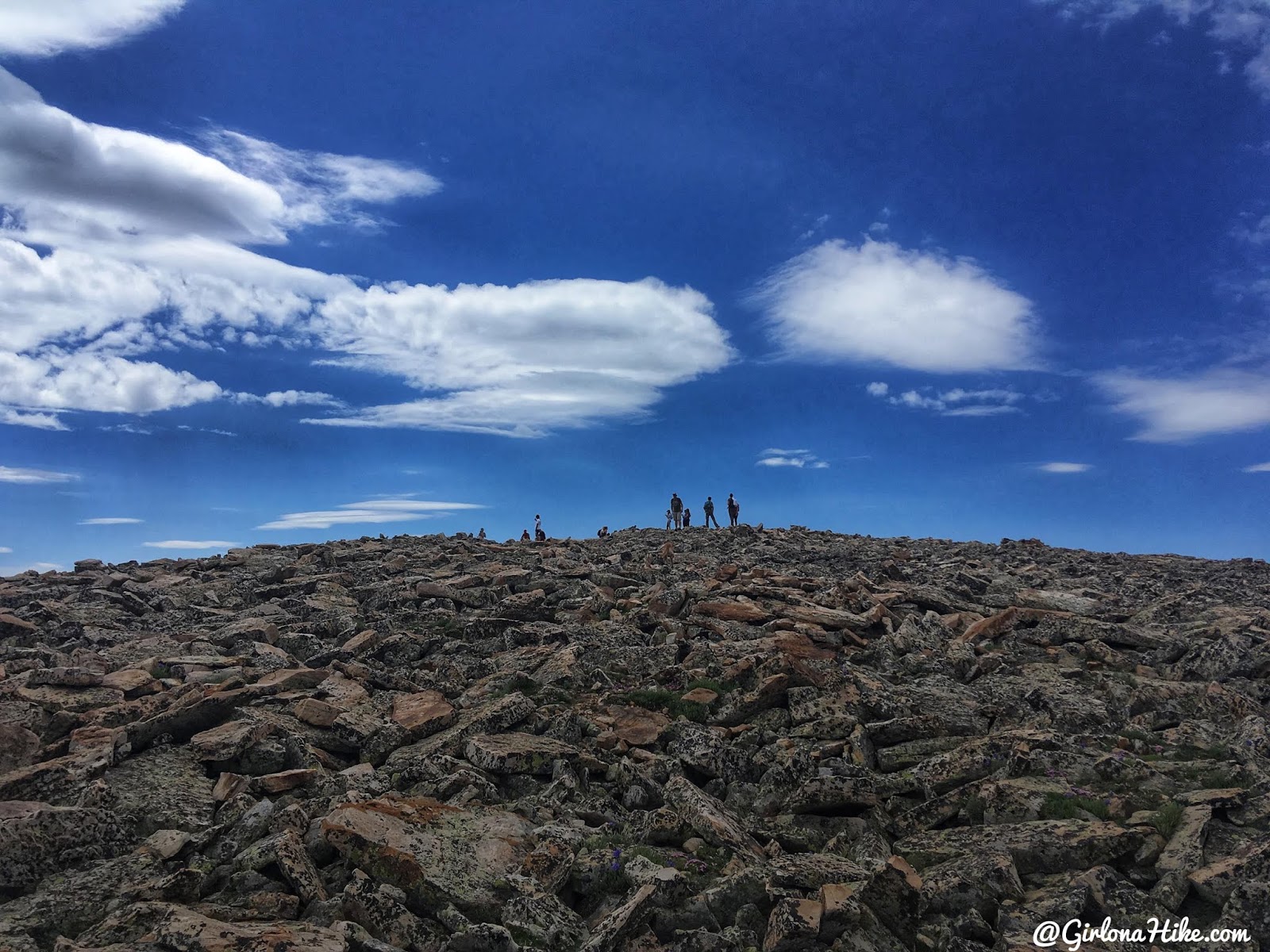 Hiking to Reids Peak, Uintas, Uinta peaks, hiking in the uintas, hiking in utah with dogs