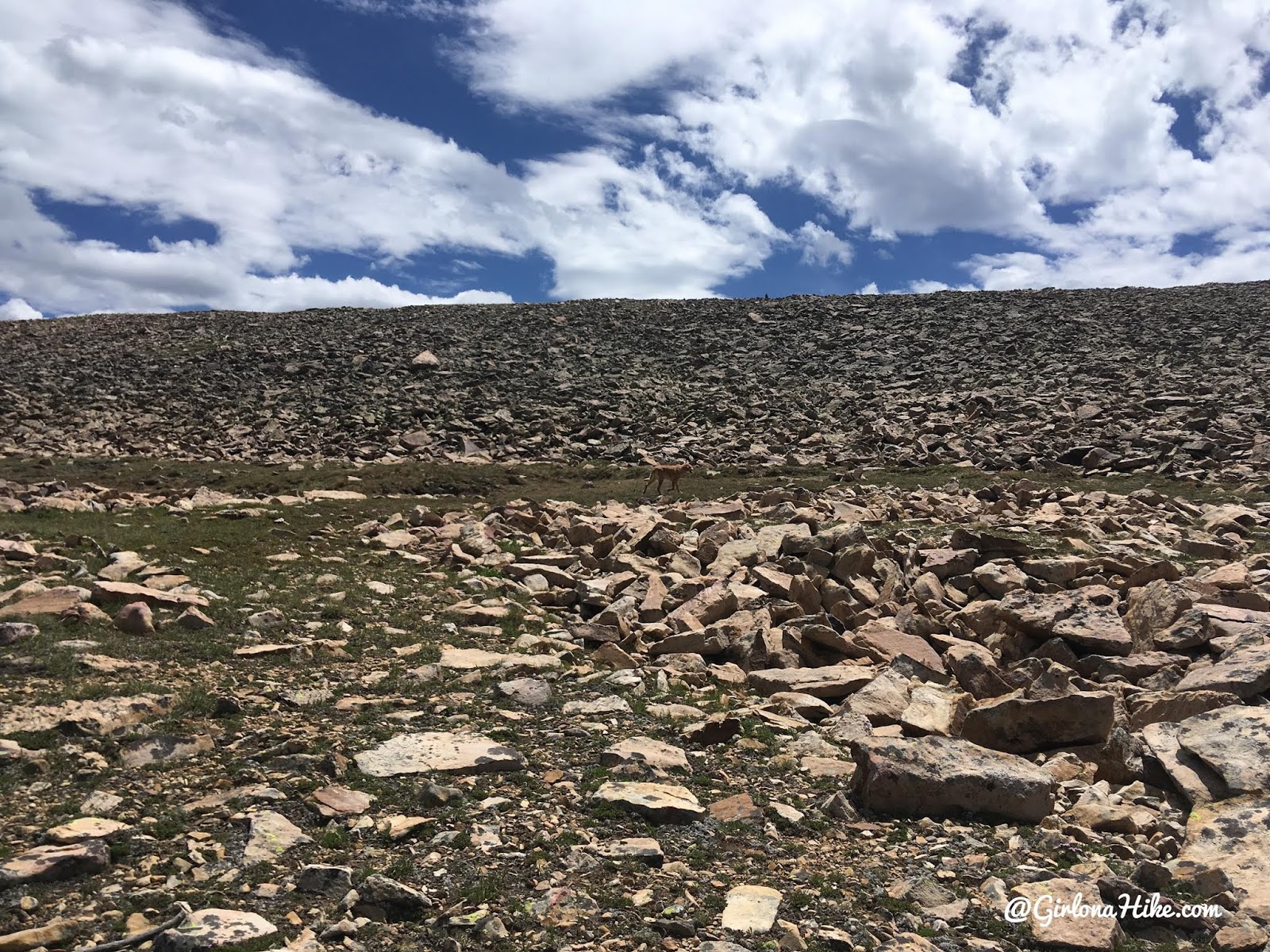 Hiking to Murdock Mountain, Uintas, Day hiking in the Uintas, Uinta peak bagging