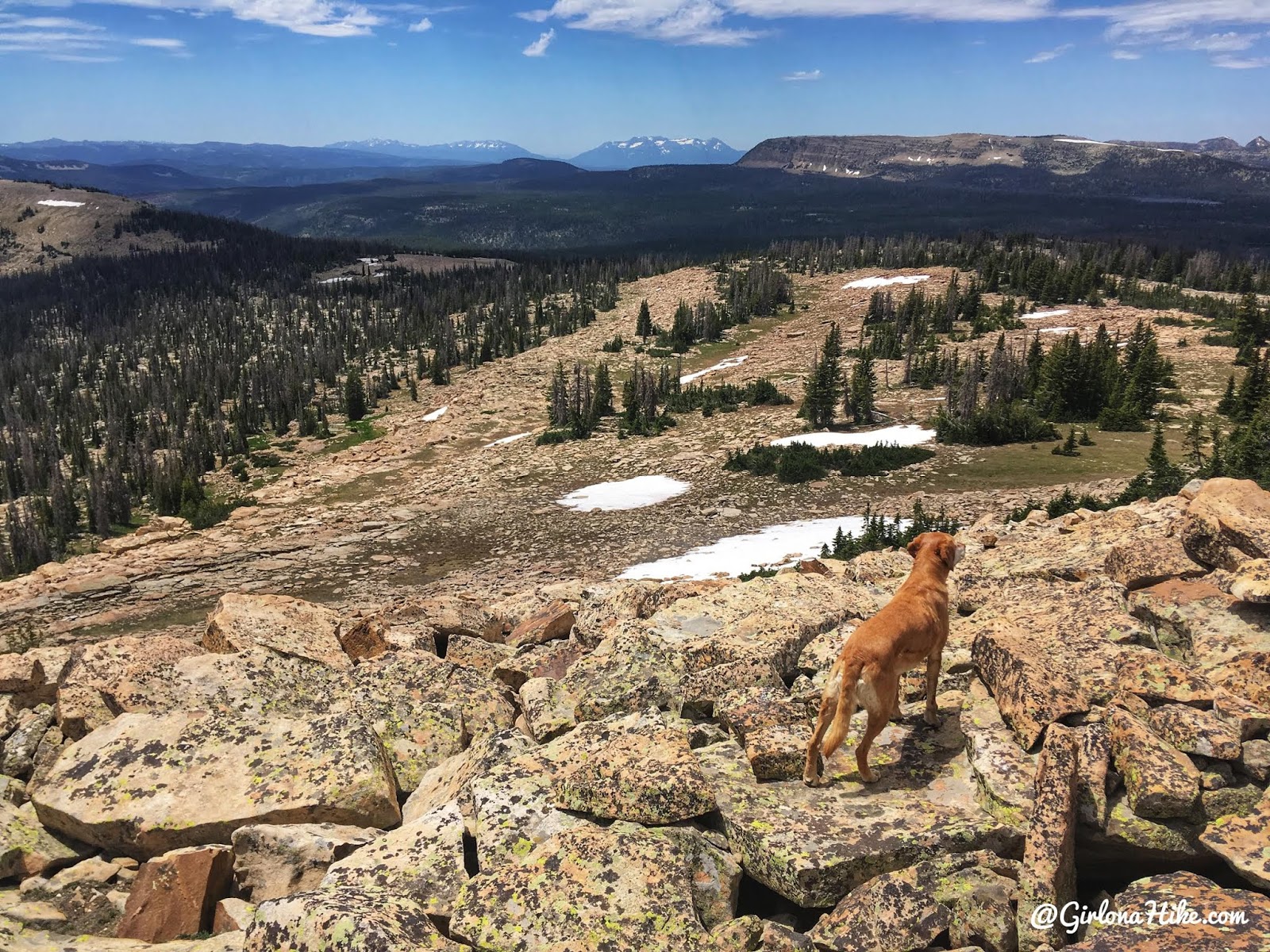 Hiking to Murdock Mountain, Uintas, Day hiking in the Uintas, Uinta peak bagging