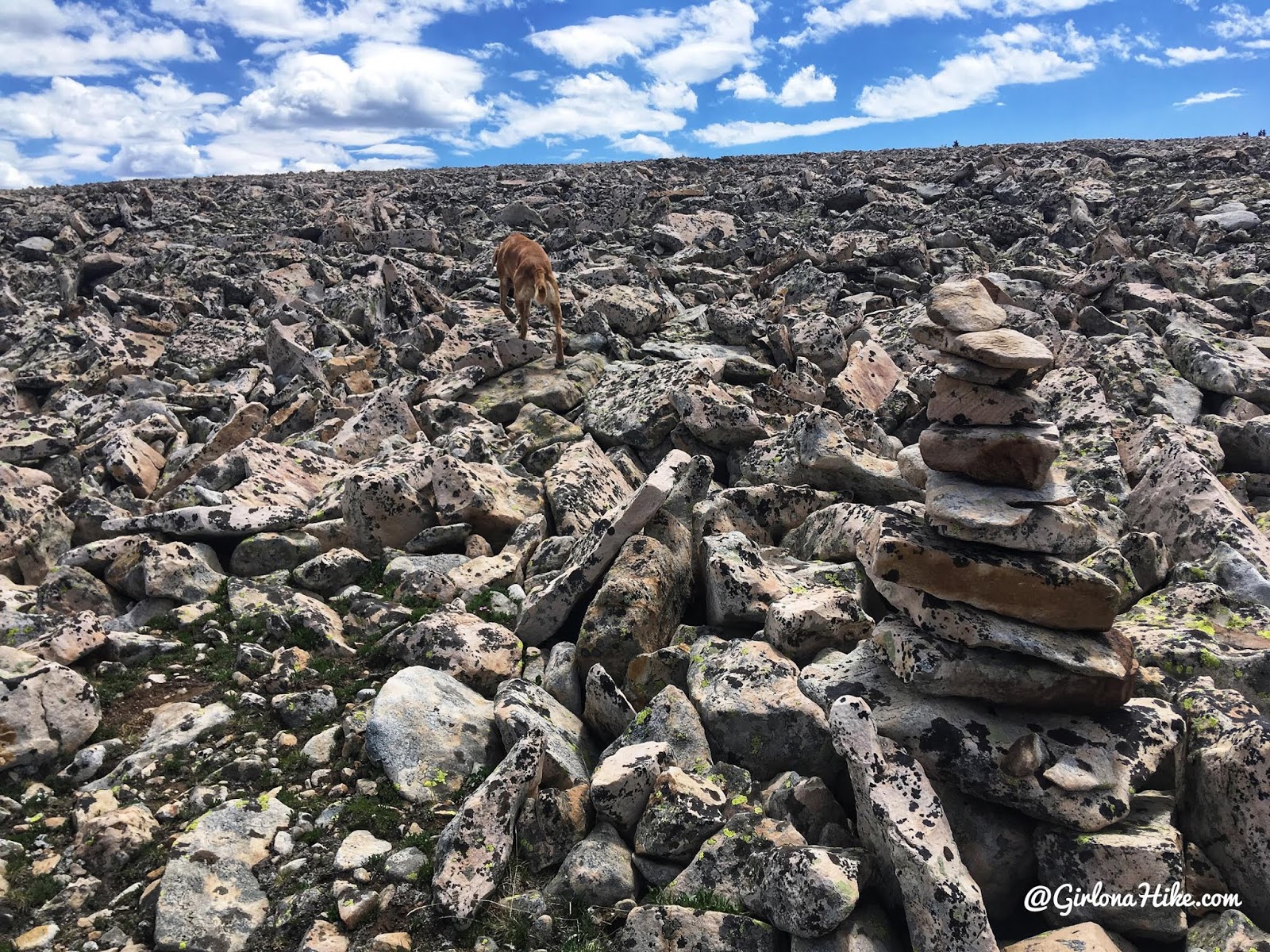 Hiking to Murdock Mountain, Uintas, Day hiking in the Uintas, Uinta peak bagging