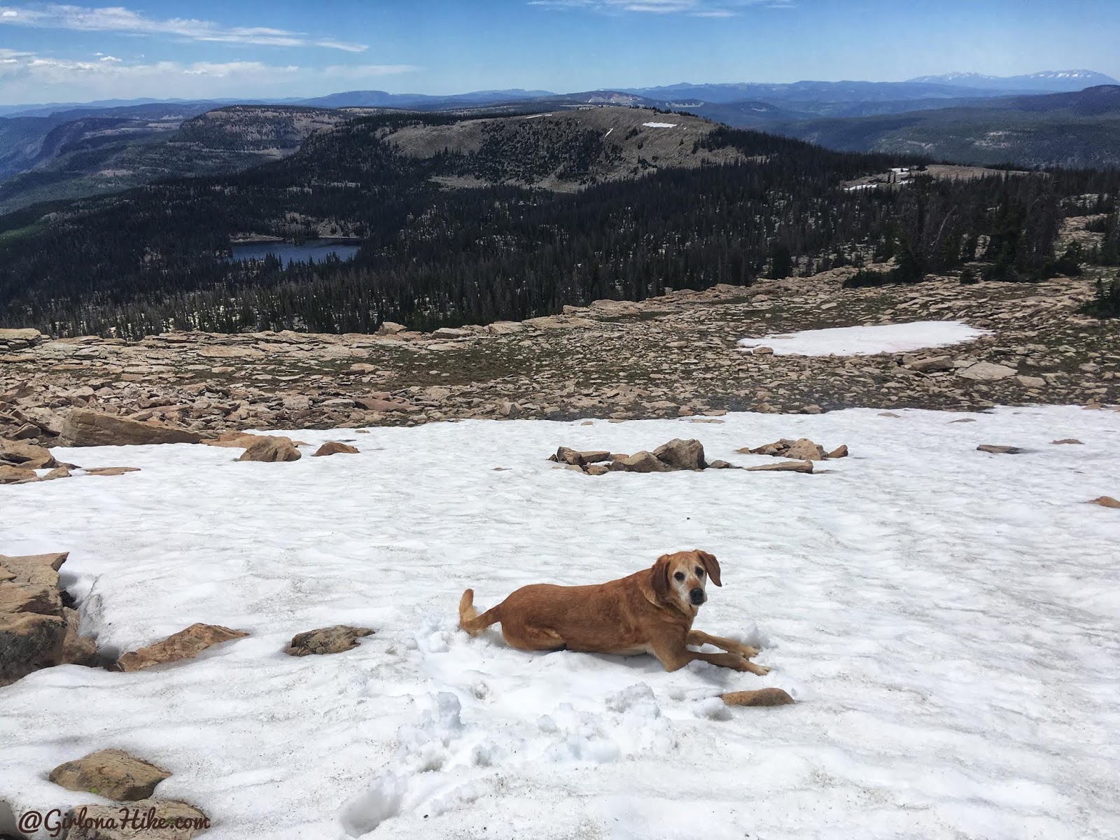 Hiking to Murdock Mountain, Uintas, Day hiking in the Uintas, Uinta peak bagging