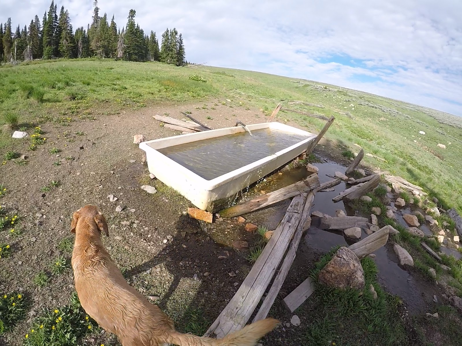 Hiking to Bull Mountain via Bull Flat, Box Elder County High Point