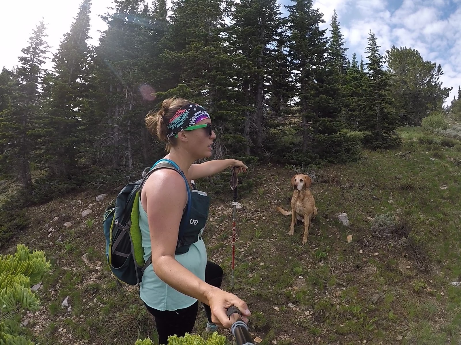 Hiking to Bull Mountain via Bull Flat, Box Elder County High Point