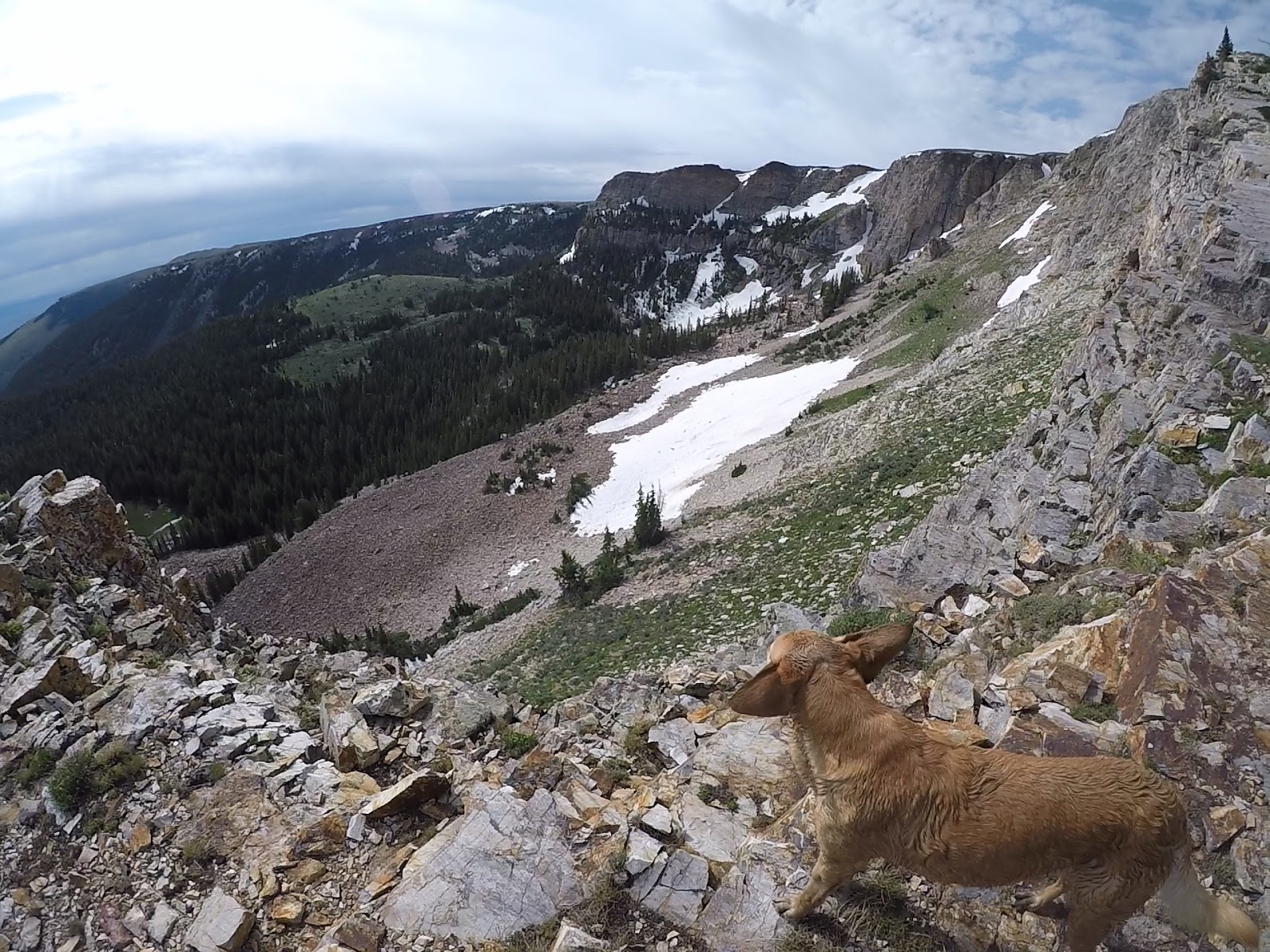 Hiking to Bull Mountain via Bull Flat, Box Elder County High Point