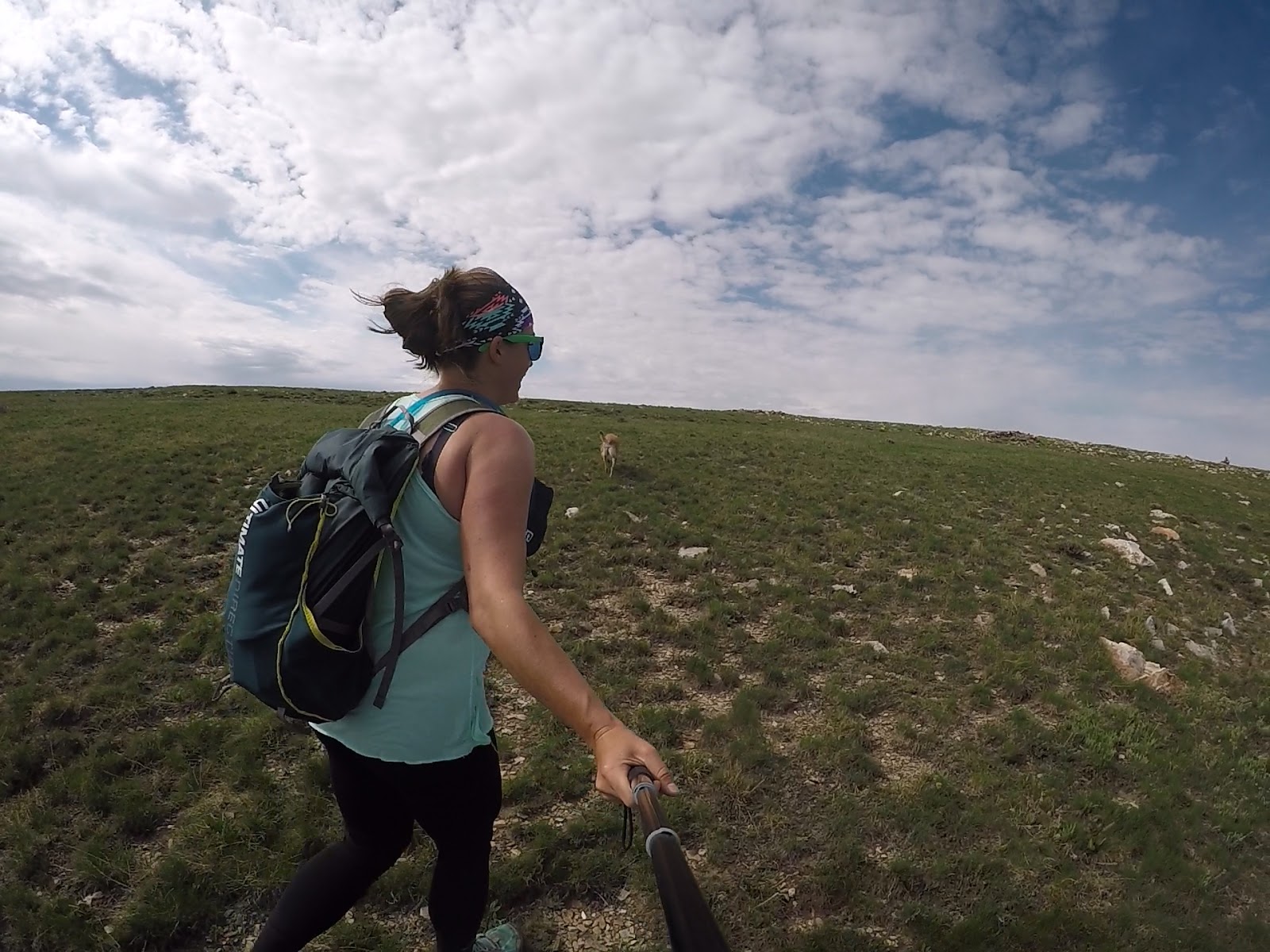 Hiking to Bull Mountain via Bull Flat, Box Elder County High Point