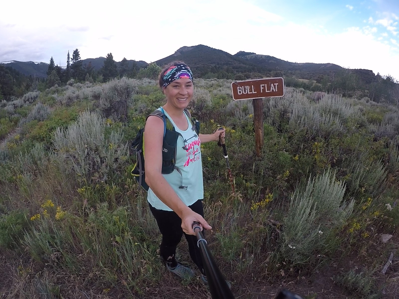 Hiking to Bull Mountain via Bull Flat, Box Elder County High Point