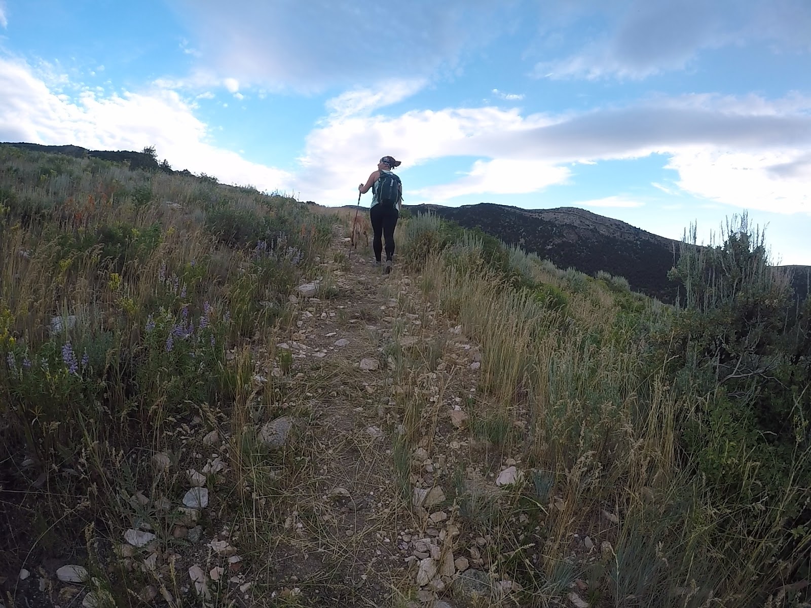 Hiking to Bull Mountain via Bull Flat, Box Elder County High Point