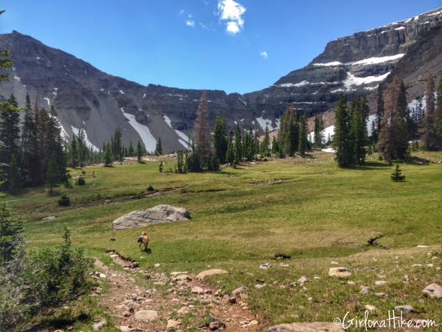 Backpacking to Amethyst Lake, Uintas, Hiking in Utah with Dogs