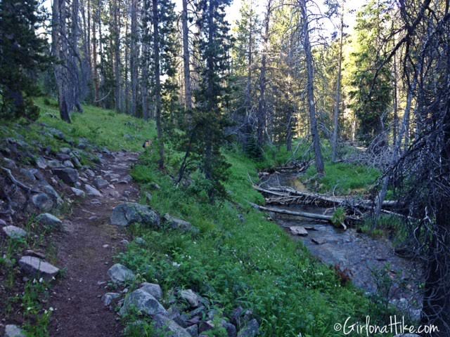 Backpacking to Amethyst Lake, Uintas, Hiking in Utah with Dogs