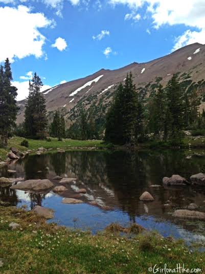 Backpacking to Amethyst Lake, Uintas, Hiking in Utah with Dogs