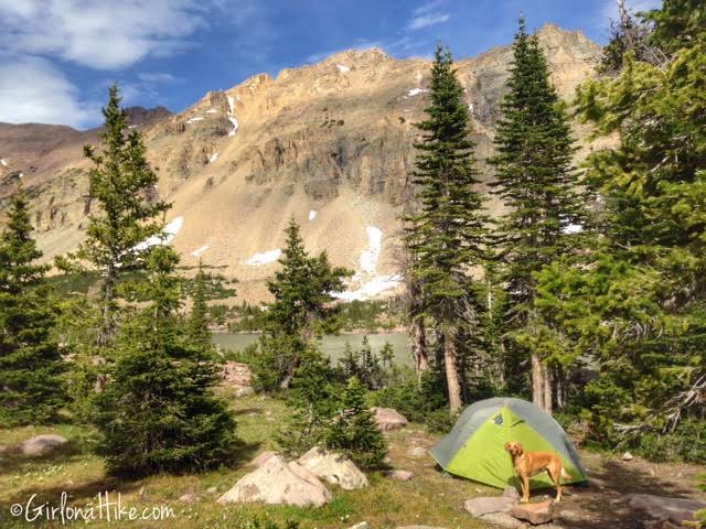 Backpacking to Amethyst Lake, Uintas, Hiking in Utah with Dogs