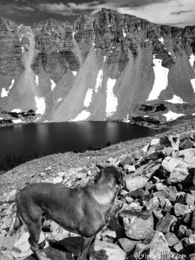 Backpacking to Amethyst Lake, Uintas, Hiking in Utah with Dogs