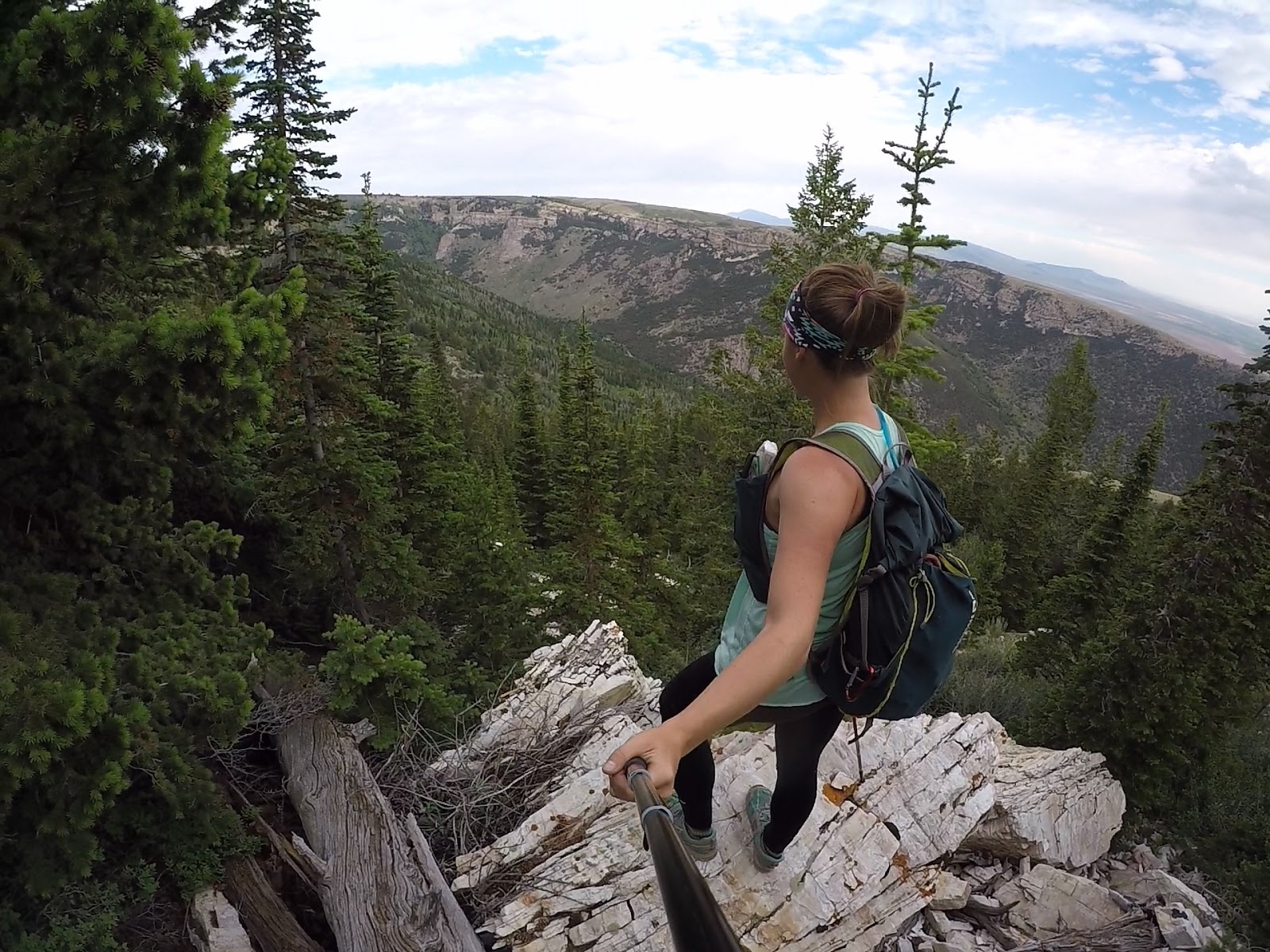 Hiking to Bull Mountain via Bull Flat, Box Elder County High Point