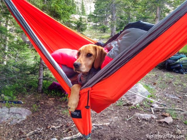 Backpacking to Amethyst Lake, Uintas, Hiking in Utah with Dogs