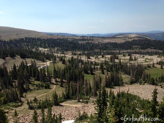 Hiking to Bald Mountain in the Uintas, Hiking in Utah with Dogs