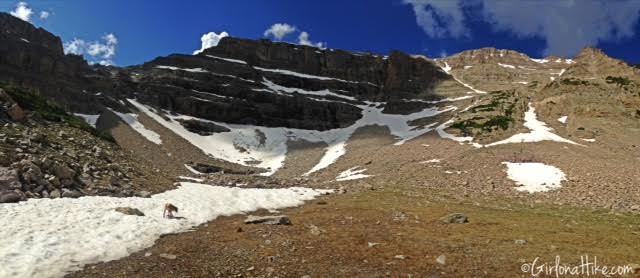 Backpacking to Amethyst Lake, Uintas, Hiking in Utah with Dogs