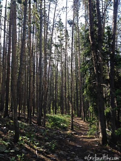 Backpacking to Amethyst Lake, Uintas, Hiking in Utah with Dogs