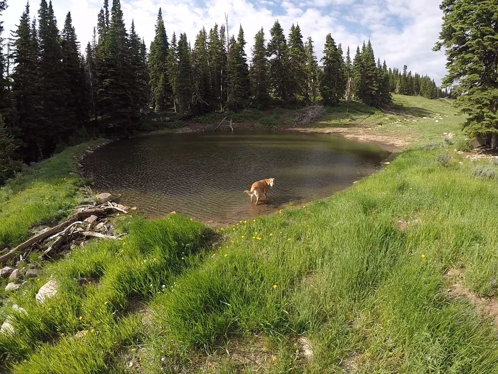 Hiking to Bull Mountain via Bull Flat, Box Elder County High Point