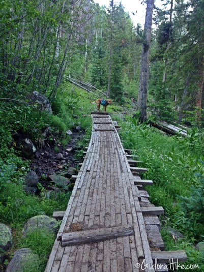 Backpacking to Amethyst Lake, Uintas, Hiking in Utah with Dogs