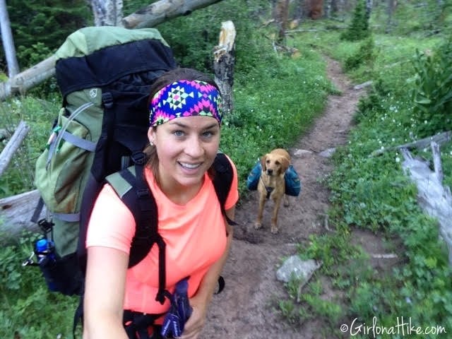 Backpacking to Amethyst Lake, Uintas, Hiking in Utah with Dogs