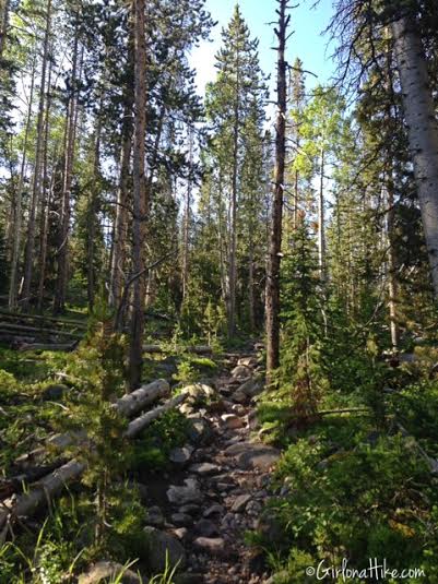 Backpacking to Amethyst Lake, Uintas, Hiking in Utah with Dogs